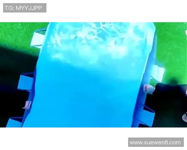 打造完美夏日泳池体验必备的精选泳池用品推荐与使用技巧 打造完美夏日泳池体验必备的精选泳池用品推荐与使用技巧