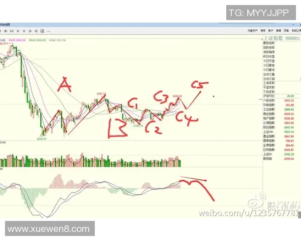 广州网球队防守策略深度解析与技术创新探讨 广州网球队防守策略深度解析与技术创新探讨