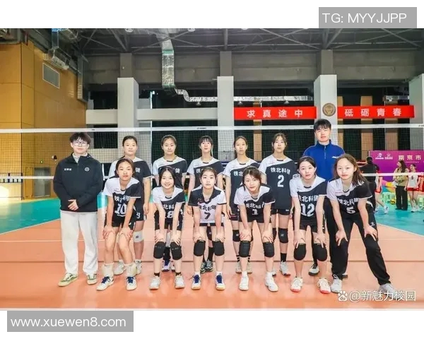 南京排球队实力强劲荣登全国排球力量排行榜第五名