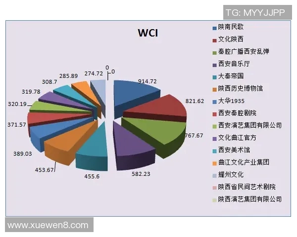 独家解析西安排球队团队协作模式的差异与优势分析