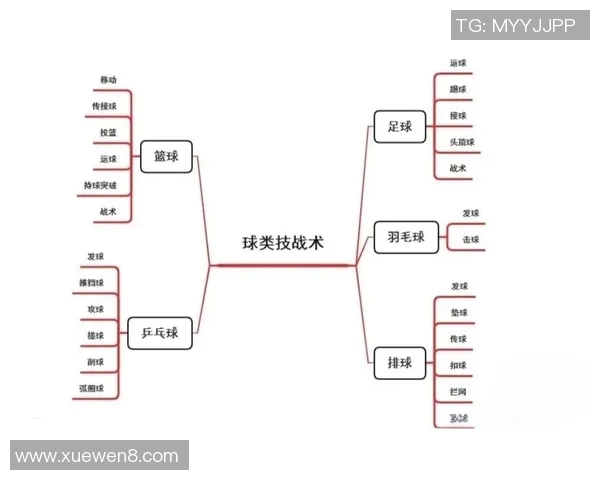 成都篮球队战术表现深度分析与数据解读探索球队胜负关键因素