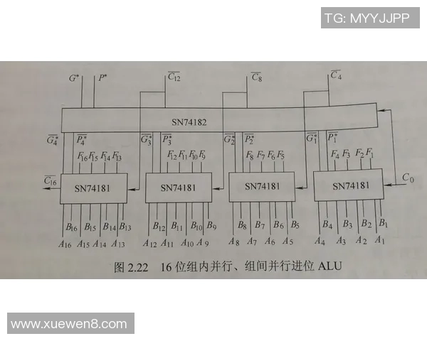 数据分析揭示JDG在比赛中的速度表现及其对胜负的影响因素