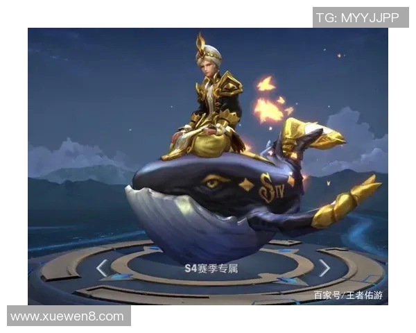 杨芳专访：探寻王者荣耀的辉煌历程与未来展望